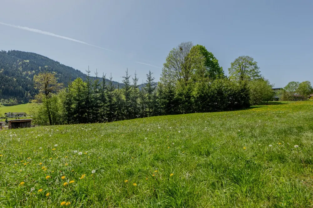 KITZIMMO-Baugrundstück in Toplage mit Kaiserblick kaufen - Immobilien Going.