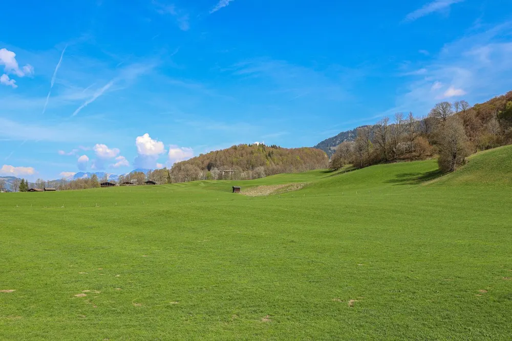 KITZIMMO-Landhaus in Toplage kaufen - Immobilien Aurach bei Kitzbühel.