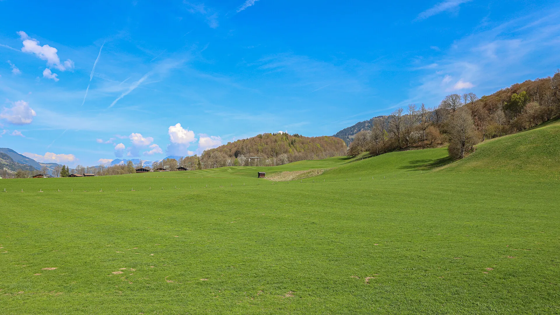 KITZIMMO-Landhaus in Toplage kaufen - Immobilien Aurach bei Kitzbühel.