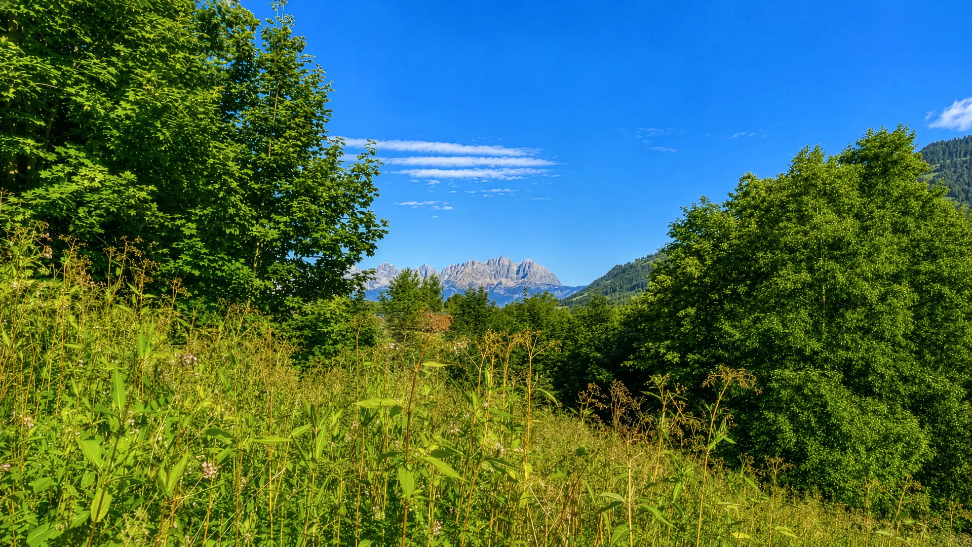 grundstückintoplagekaufenkitzimmokitzbühel-2